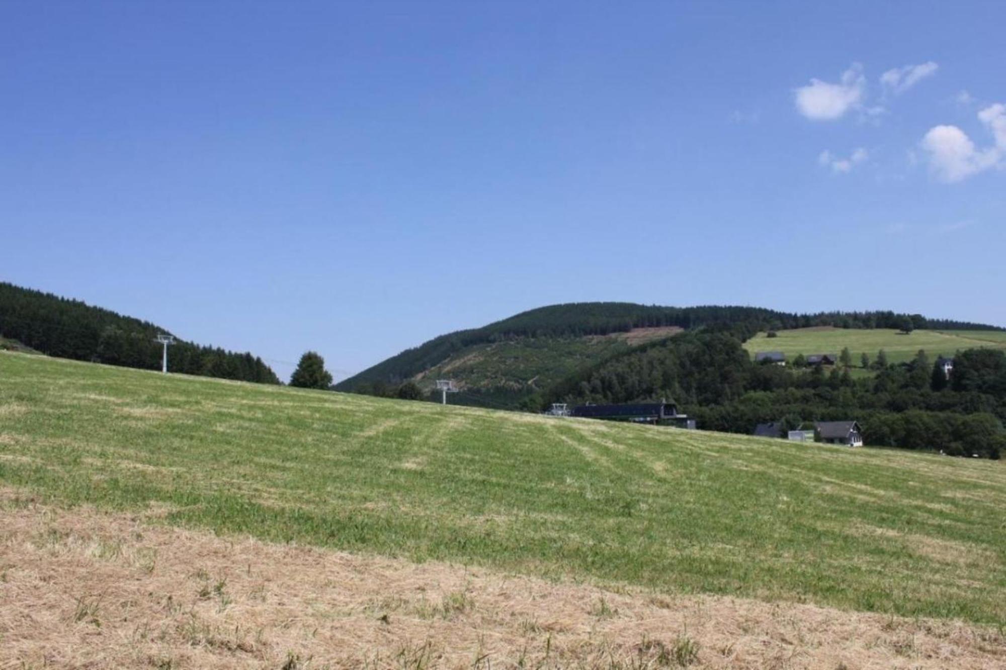 Ferienhaus Easy Holiday Am Ritzhagen Ehem Heinrichs Вилинген Екстериор снимка
